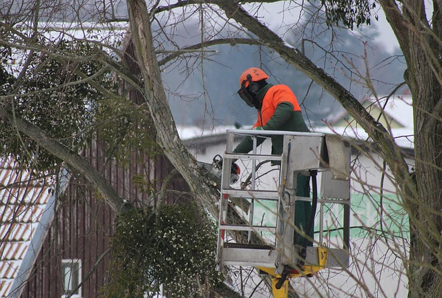 Arborist performing emergency tree trimming in a crane during a snow storm in Chesterfield, MO